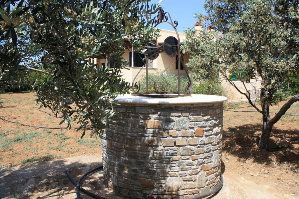 Naxos Cottage Kato Sangrion Værelse billede